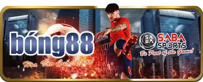 Cá cược bóng rổ tại choang win